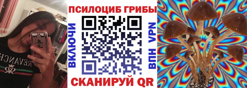 как найти закладки  Николаевск  Псилоцибиновые грибы ЛСД 